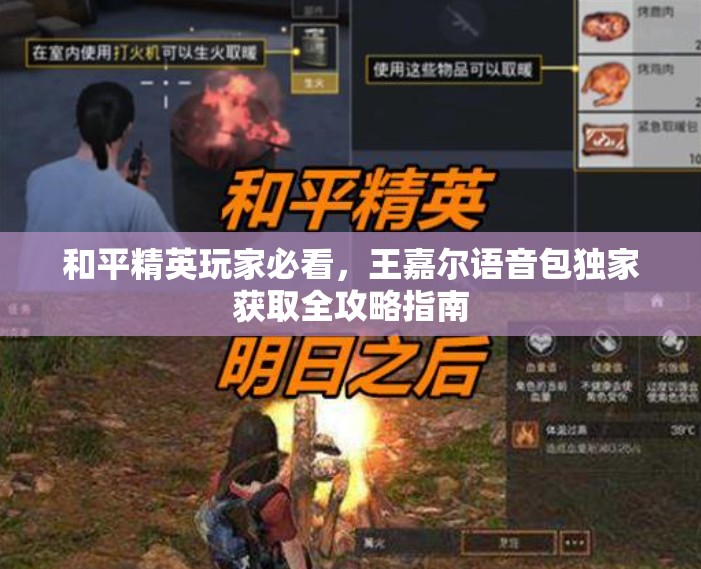 和平精英玩家必看，王嘉尔语音包独家获取全攻略指南