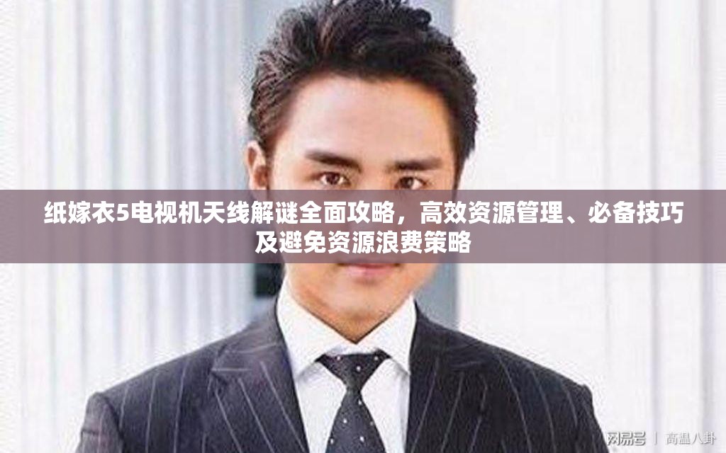 纸嫁衣5电视机天线解谜全面攻略，高效资源管理、必备技巧及避免资源浪费策略