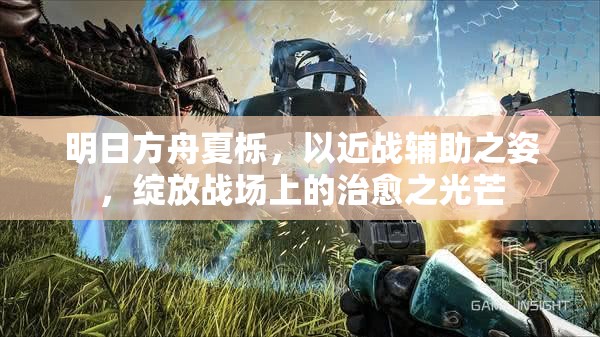 明日方舟夏栎，以近战辅助之姿，绽放战场上的治愈之光芒