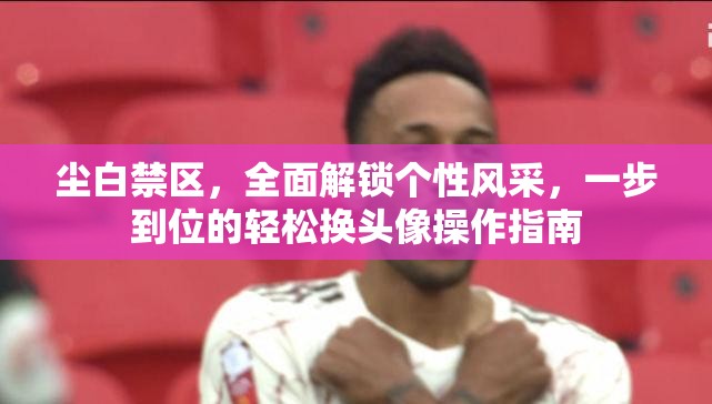 尘白禁区，全面解锁个性风采，一步到位的轻松换头像操作指南