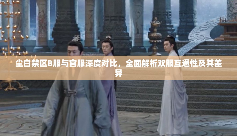 尘白禁区B服与官服深度对比，全面解析双服互通性及其差异