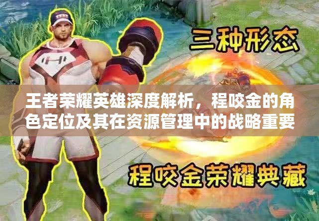 王者荣耀英雄深度解析，程咬金的角色定位及其在资源管理中的战略重要性