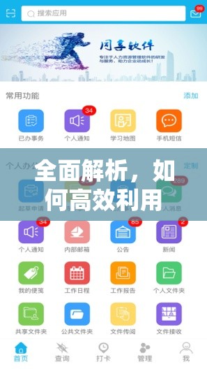 全面解析，如何高效利用只有向上手机版进行下载资源管理