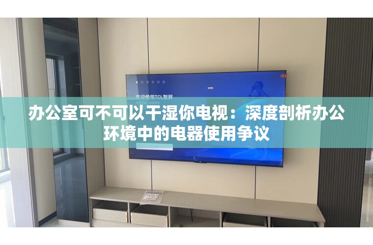 办公室可不可以干湿你电视：深度剖析办公环境中的电器使用争议