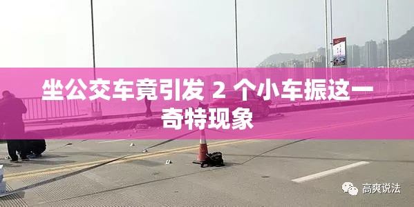 坐公交车竟引发 2 个小车振这一奇特现象