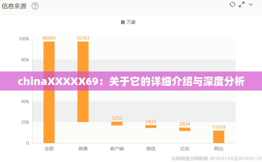 chinaXXXXX69：关于它的详细介绍与深度分析