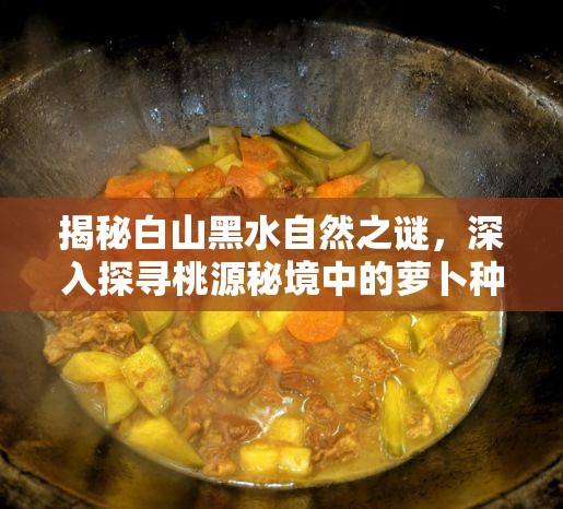 揭秘白山黑水自然之谜，深入探寻桃源秘境中的萝卜种植智慧