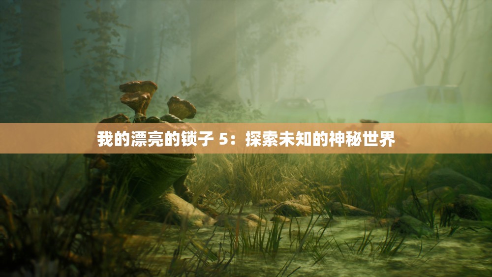 我的漂亮的锁子 5：探索未知的神秘世界