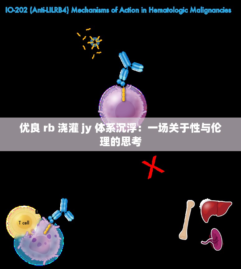 优良 rb 浇灌 jy 体系沉浮：一场关于性与伦理的思考