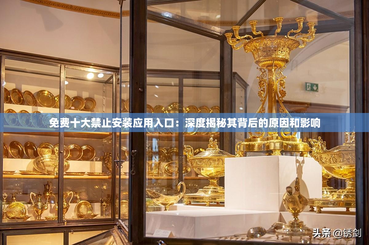 免费十大禁止安装应用入口：深度揭秘其背后的原因和影响