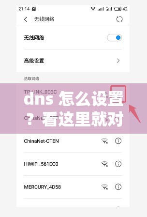 dns 怎么设置？看这里就对了