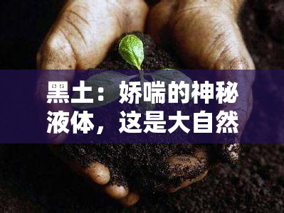 黑土：娇喘的神秘液体，这是大自然的馈赠还是？