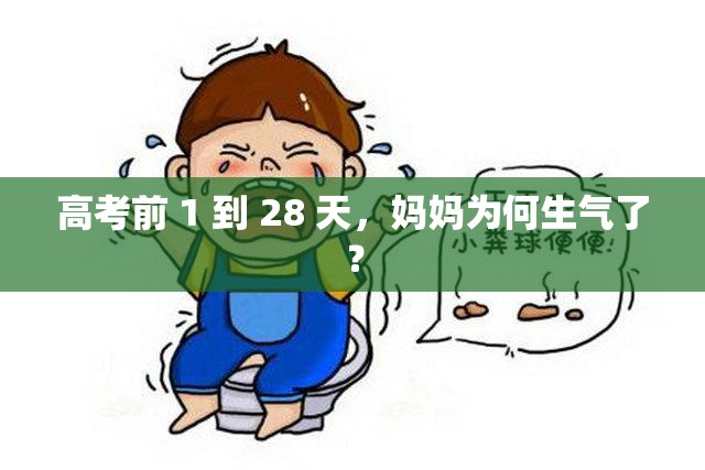 高考前 1 到 28 天，妈妈为何生气了？