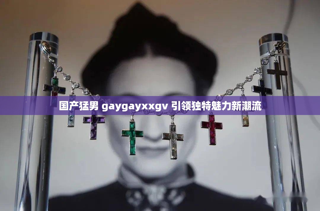 国产猛男 gaygayxxgv 引领独特魅力新潮流