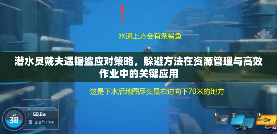 潜水员戴夫遇锯鲨应对策略，躲避方法在资源管理与高效作业中的关键应用