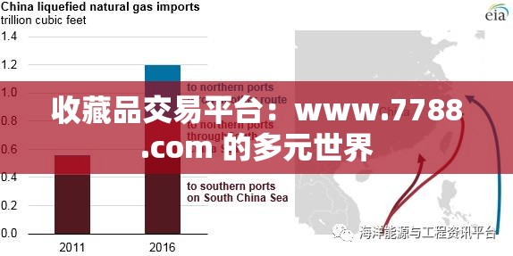 收藏品交易平台：www.7788.com 的多元世界