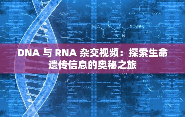 DNA 与 RNA 杂交视频：探索生命遗传信息的奥秘之旅
