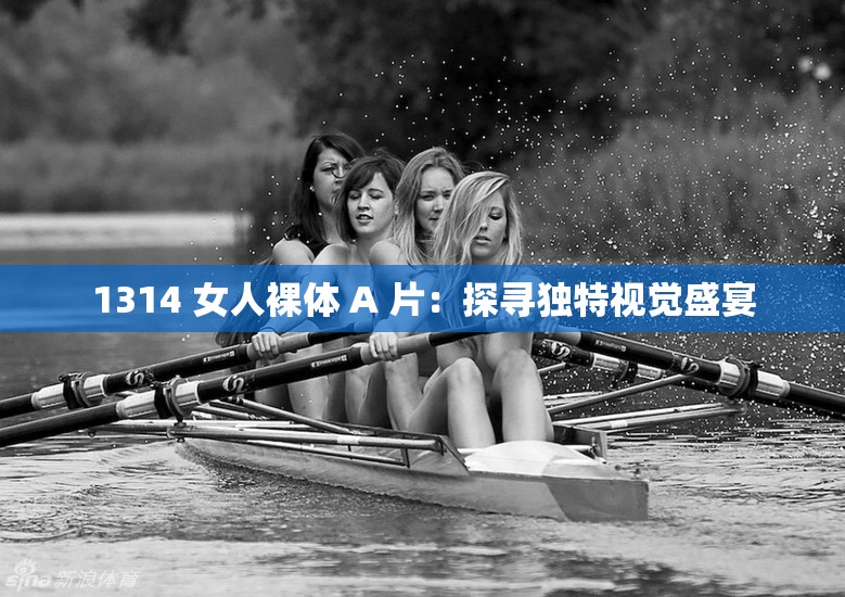 1314 女人裸体 A 片：探寻独特视觉盛宴