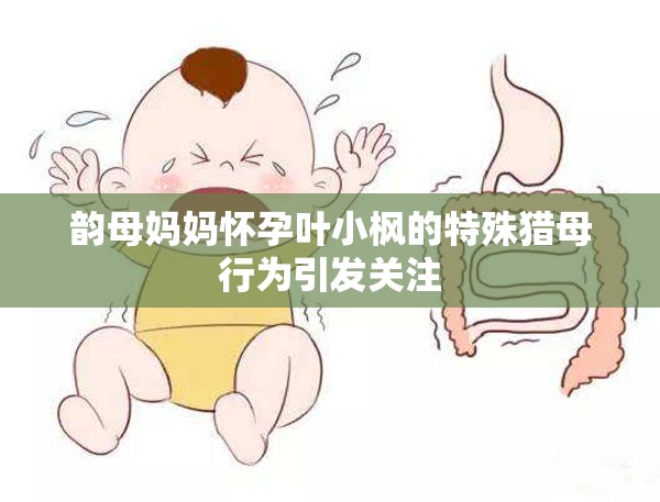 韵母妈妈怀孕叶小枫的特殊猎母行为引发关注
