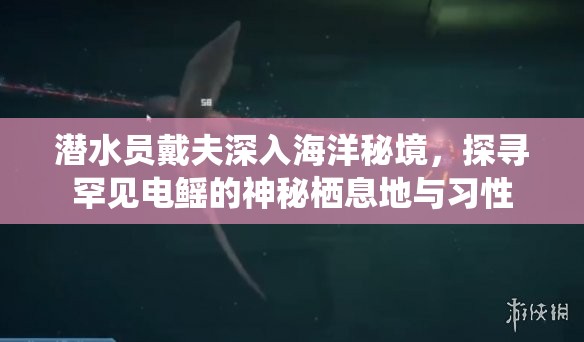 潜水员戴夫深入海洋秘境，探寻罕见电鳐的神秘栖息地与习性