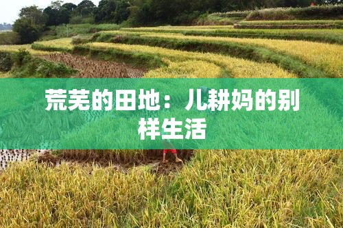 荒芜的田地：儿耕妈的别样生活