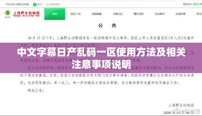 中文字幕日产乱码一区使用方法及相关注意事项说明