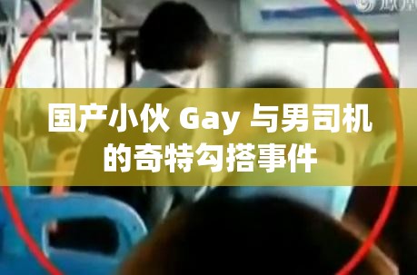 国产小伙 Gay 与男司机的奇特勾搭事件