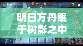 明日方舟眠于树影之中活动全览，资源管理高效利用策略及避免浪费指南