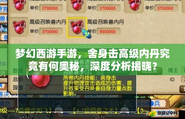 梦幻西游手游，舍身击高级内丹究竟有何奥秘，深度分析揭晓？
