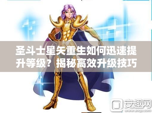 圣斗士星矢重生如何迅速提升等级？揭秘高效升级技巧！
