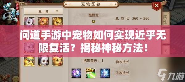 问道手游中宠物如何实现近乎无限复活？揭秘神秘方法！
