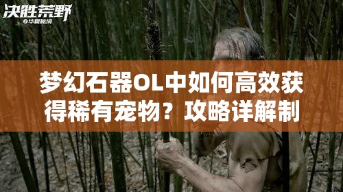 梦幻石器OL中如何高效获得稀有宠物？攻略详解制造悬念