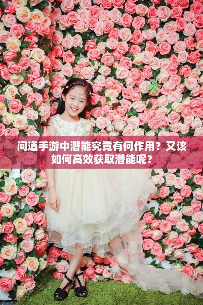 问道手游中潜能究竟有何作用？又该如何高效获取潜能呢？