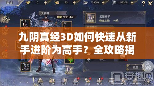 九阴真经3D如何快速从新手进阶为高手？全攻略揭秘！