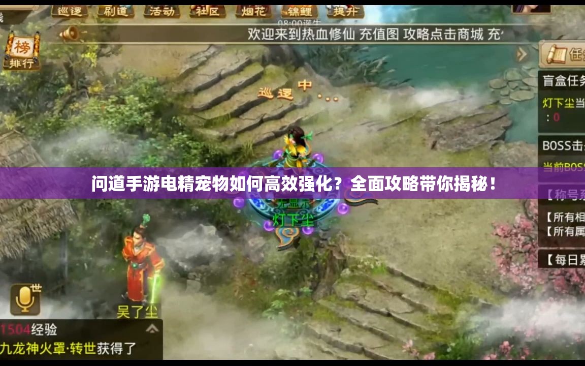 问道手游电精宠物如何高效强化？全面攻略带你揭秘！