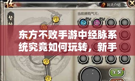 东方不败手游中经脉系统究竟如何玩转，新手必知的疑问解答？