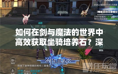 如何在剑与魔法的世界中高效获取坐骑培养石？深度解析与实战策略揭秘
