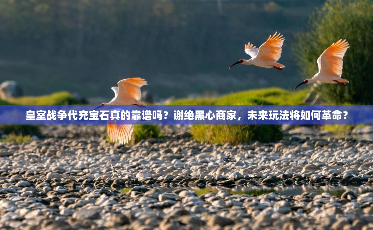 皇室战争代充宝石真的靠谱吗？谢绝黑心商家，未来玩法将如何革命？