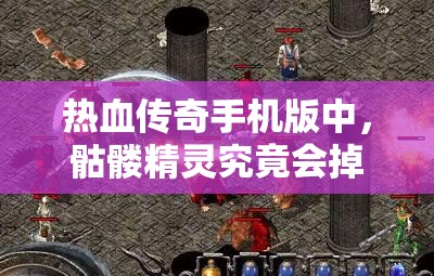 热血传奇手机版中，骷髅精灵究竟会掉落哪些稀有物品呢？