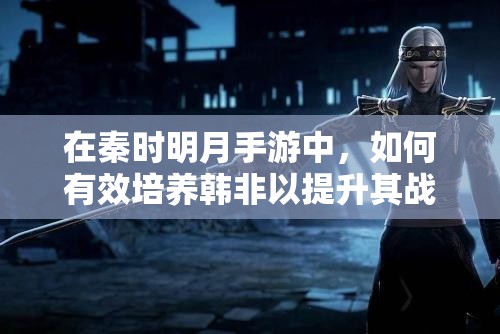 在秦时明月手游中，如何有效培养韩非以提升其战斗力和团队贡献？